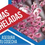 Torres antiheladas: protección fiable para cultivos de alto valor